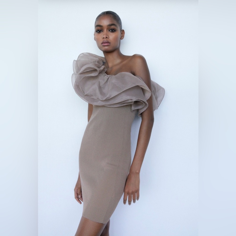 zara organza ruffled knit dress size Medium